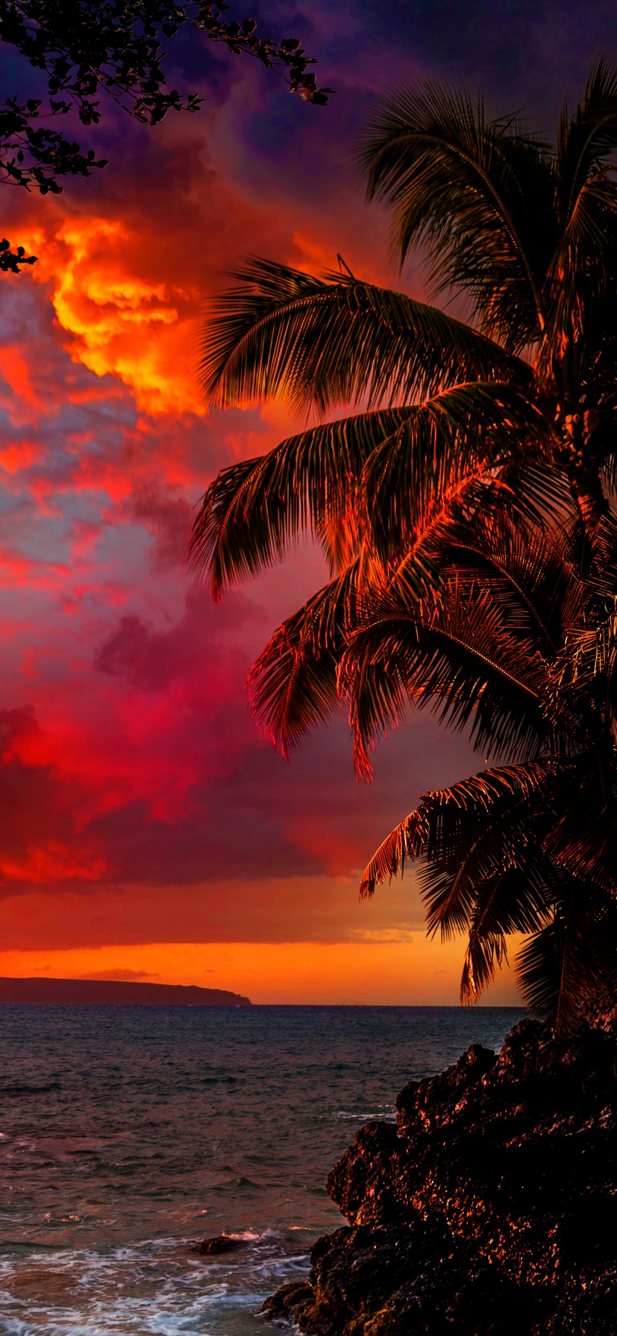 Cloud, Water, Atmosphere, Light, Afterglow. Wallpaper in 1242x2688 Resolution