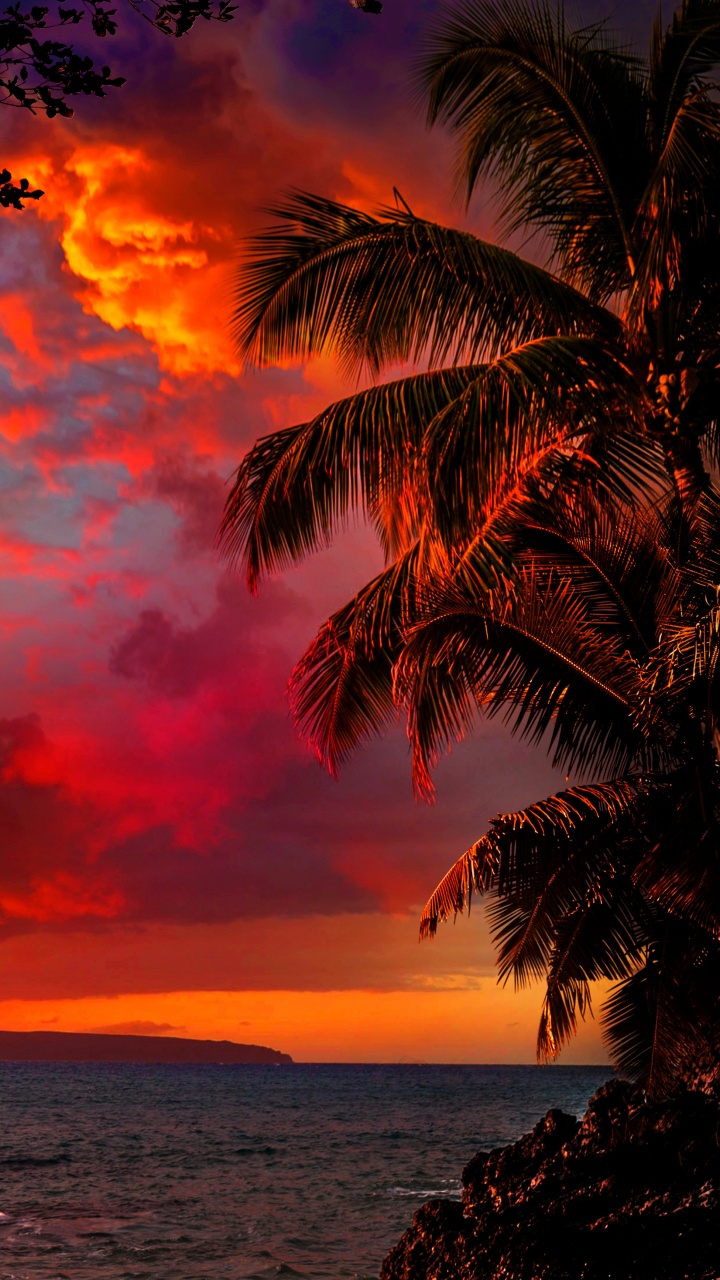 Cloud, Water, Atmosphere, Light, Afterglow. Wallpaper in 720x1280 Resolution