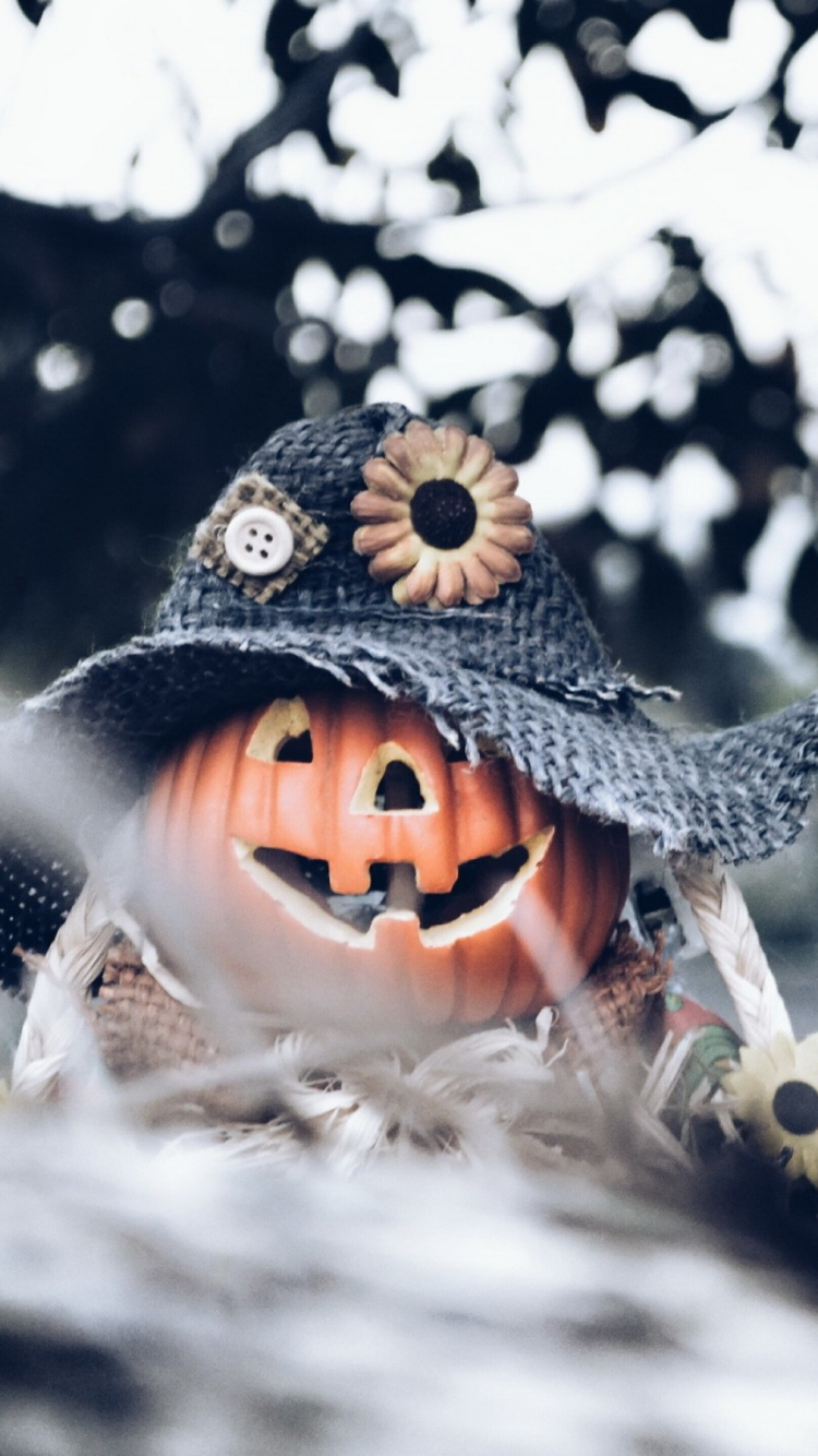 Winter, Baum, Schnee, Einfrieren, Halloween. Wallpaper in 750x1334 Resolution