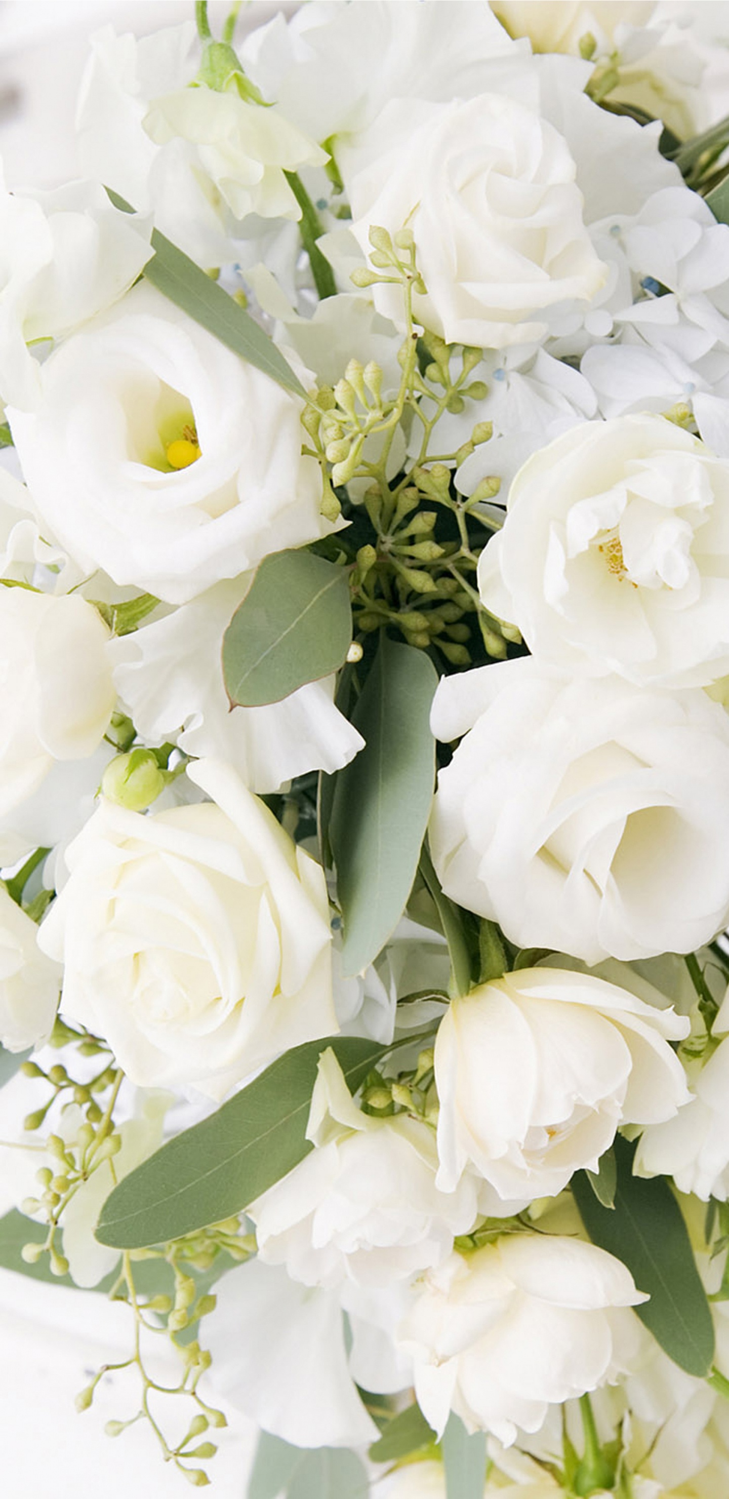 Boda, Ramo de Flores, Ramo, Blanco, Las Flores Cortadas. Wallpaper in 1440x2960 Resolution