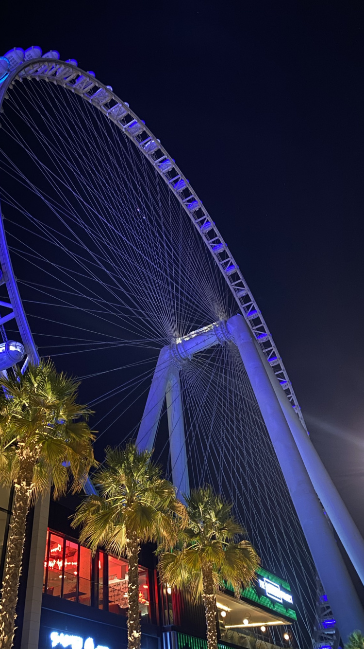 Dubaï, Ferris, Nuit, Métropole, Zone Urbaine. Wallpaper in 750x1334 Resolution