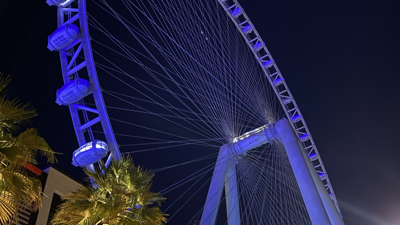 Dubai, Riesenrad, Nacht, Metropole, Stadtgebiet. Wallpaper in 1366x768 Resolution