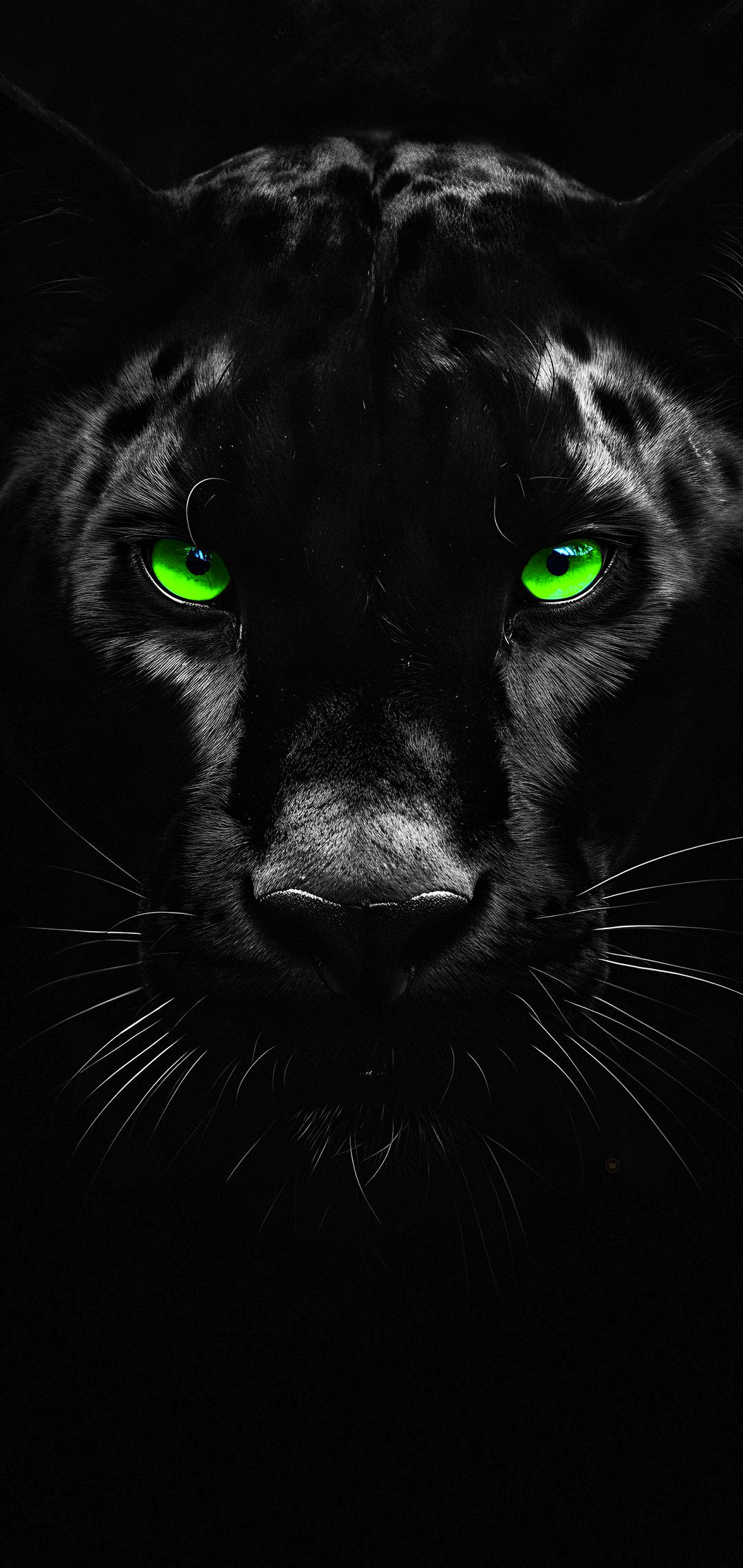 Black Panther Wallpaper Images - Free Download on Freepik