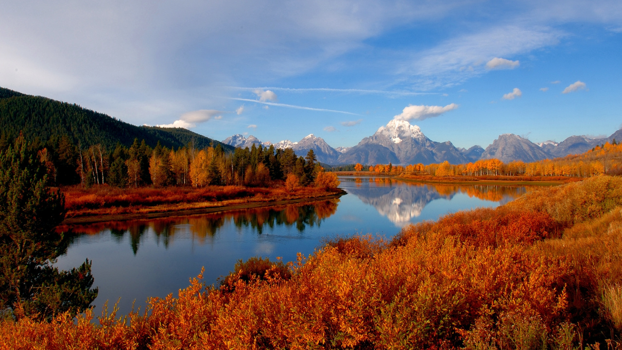 Brown and Green Trees Near Lake Under Blue Sky During Daytime. Wallpaper in 1280x720 Resolution