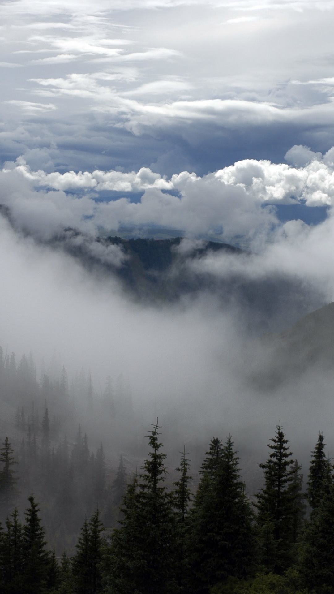Green Pine Trees Under White Clouds During Daytime. Wallpaper in 1080x1920 Resolution