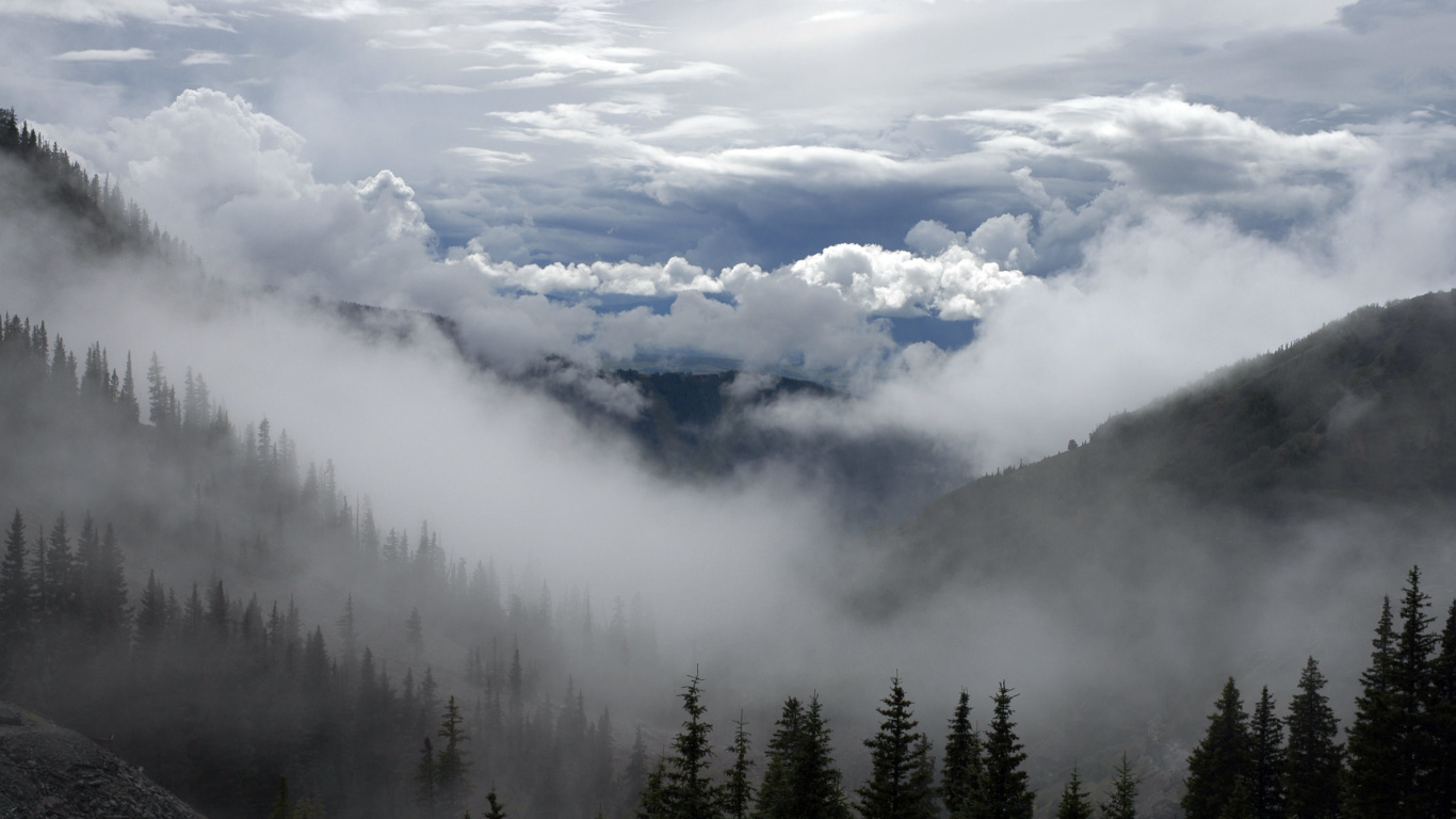 Green Pine Trees Under White Clouds During Daytime. Wallpaper in 1366x768 Resolution
