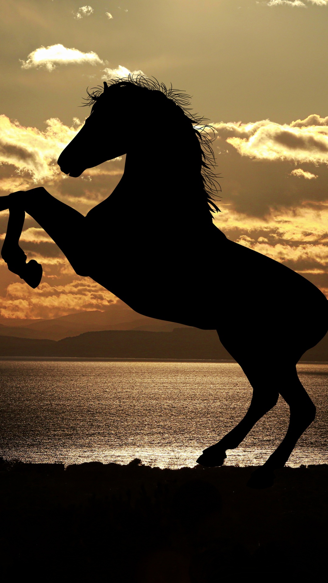 Silhouette of Horse on Seashore During Sunset. Wallpaper in 1080x1920 Resolution