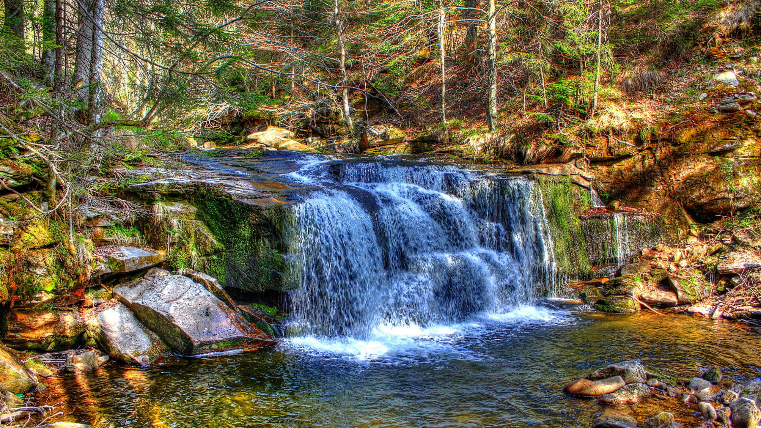 el Agua Cae en Medio Del Bosque. Wallpaper in 2560x1440 Resolution