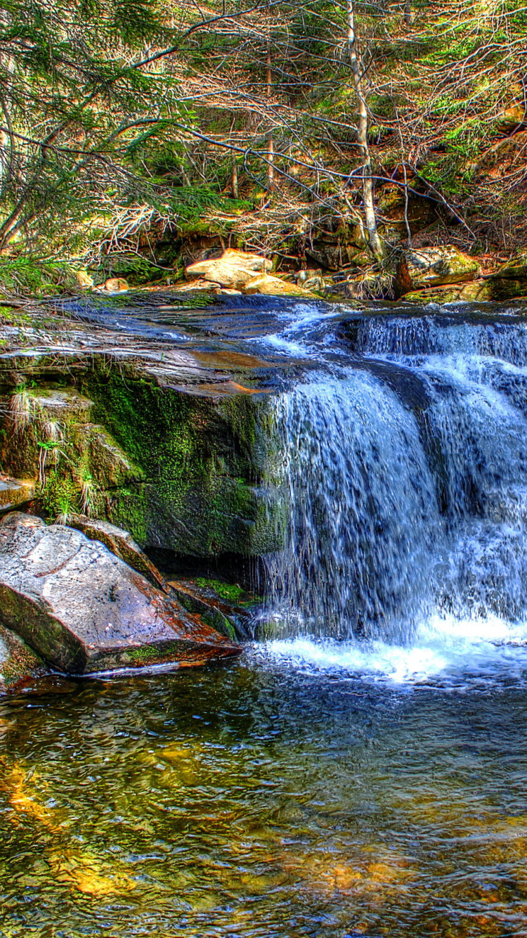 Wasser Fällt Mitten in Den Wald. Wallpaper in 750x1334 Resolution