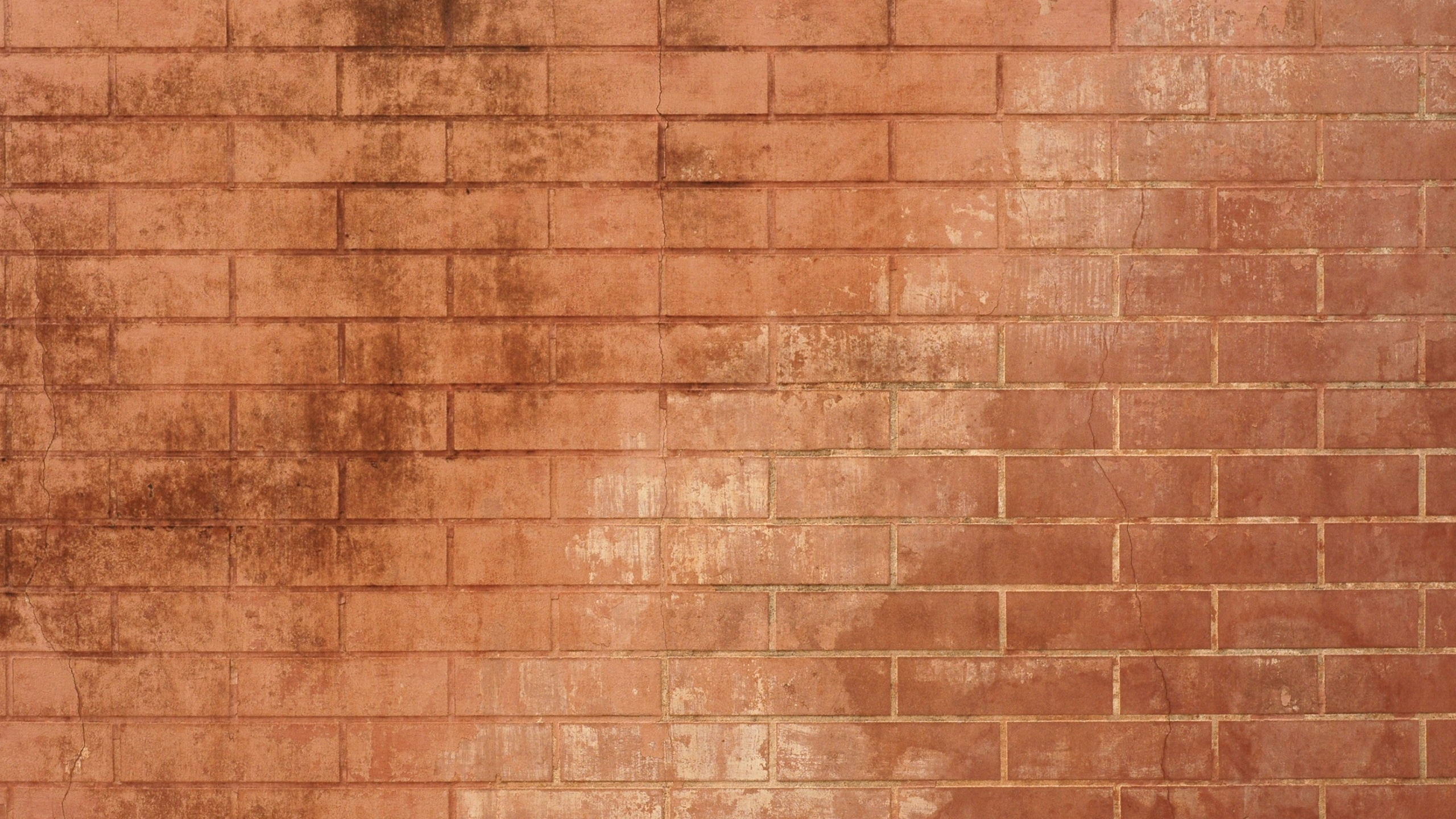 Brown Brick Wall During Daytime. Wallpaper in 2560x1440 Resolution