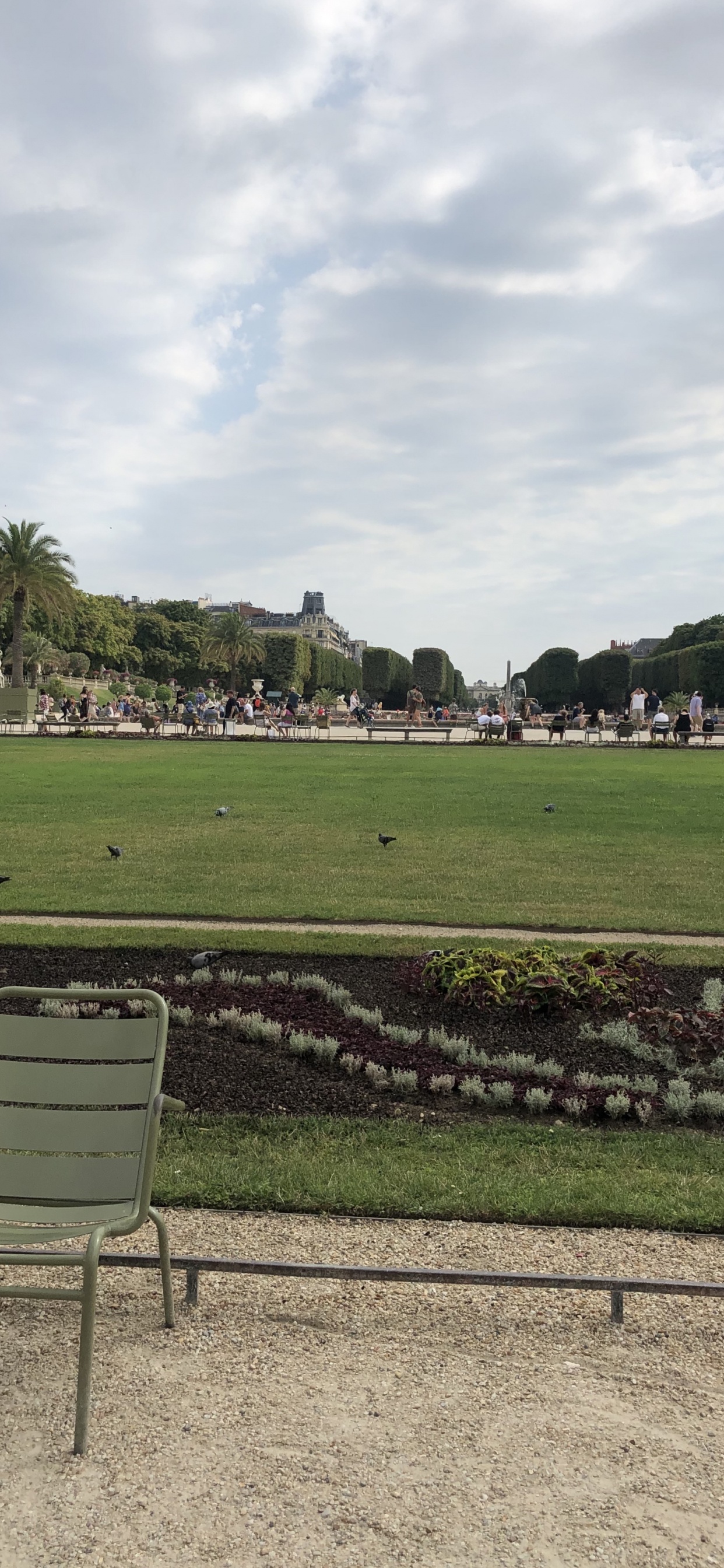 房地产, 46528, 草, 普通的, 土地很多 壁纸 1242x2688 允许