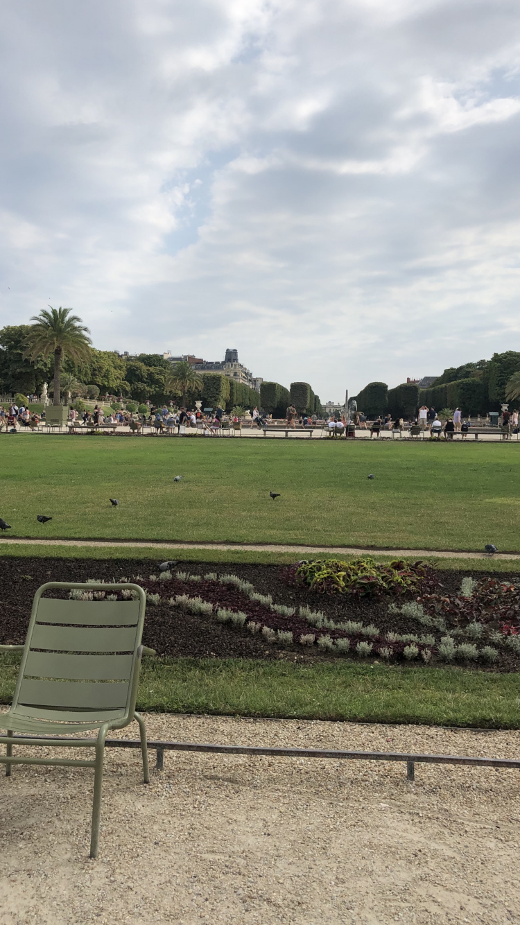 房地产, 46528, 草, 普通的, 土地很多 壁纸 750x1334 允许