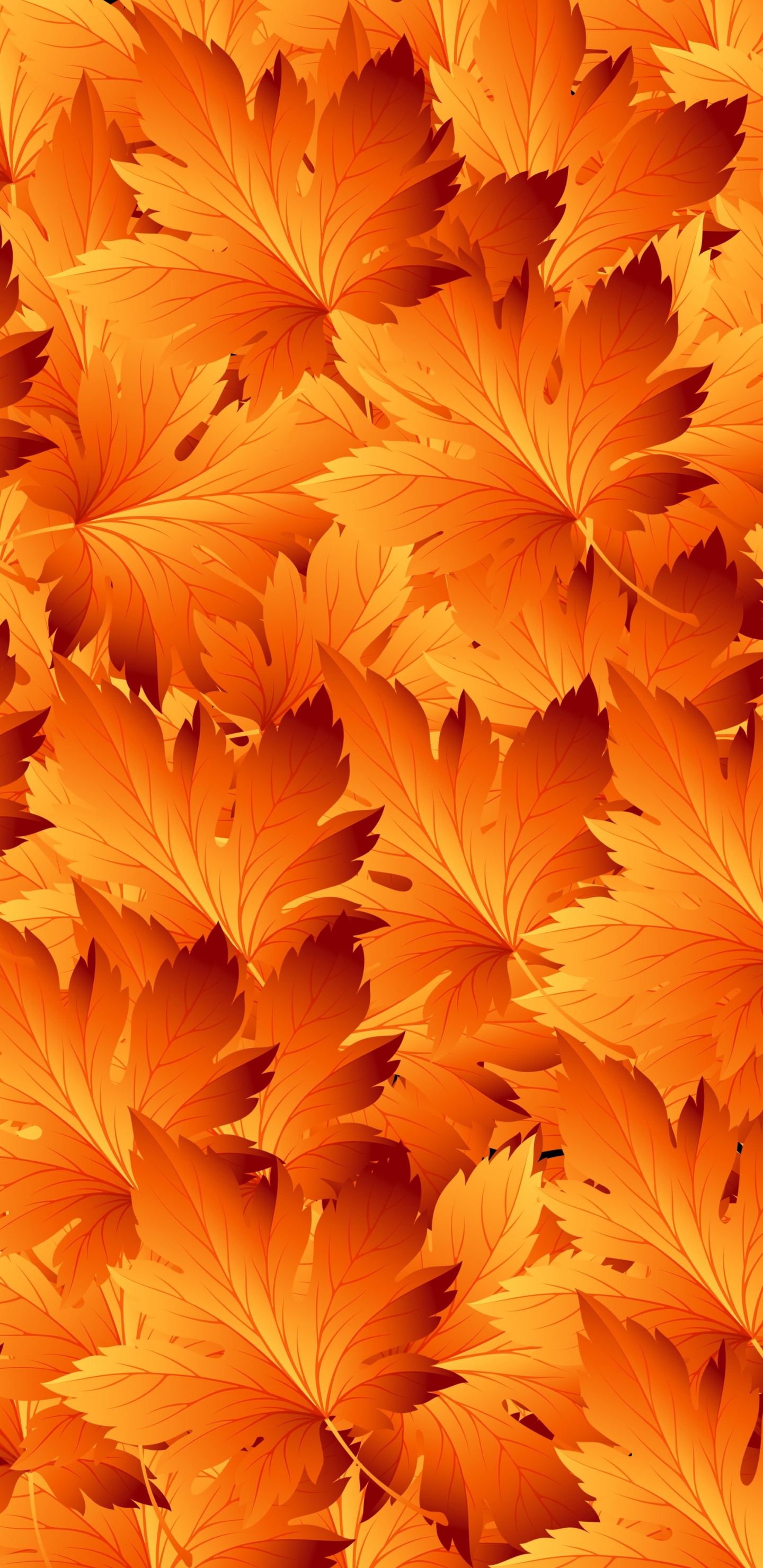 Feuilles D'érable Orange et Jaune. Wallpaper in 1440x2960 Resolution