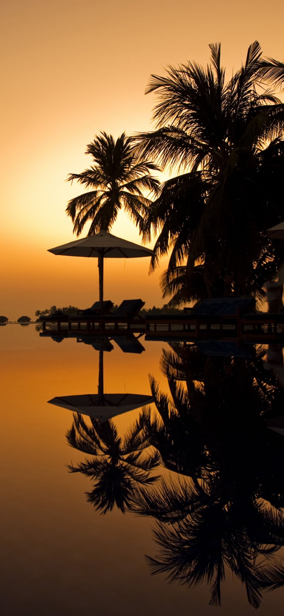 Silhouette de Palmiers Près D'un Plan D'eau Pendant le Coucher du Soleil. Wallpaper in 1125x2436 Resolution