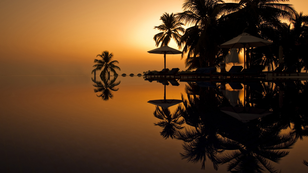 Silueta de Palmeras Cerca Del Cuerpo de Agua Durante la Puesta de Sol. Wallpaper in 1280x720 Resolution
