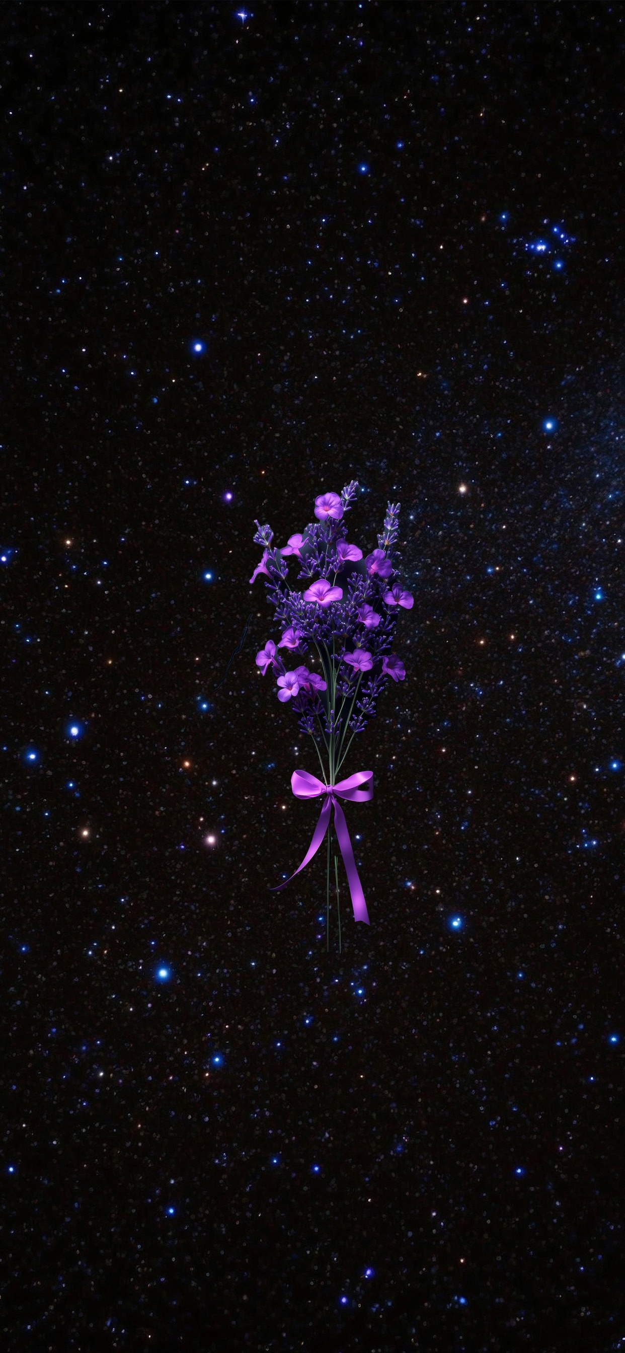 Dianthus, pink, lobelias, night, universe