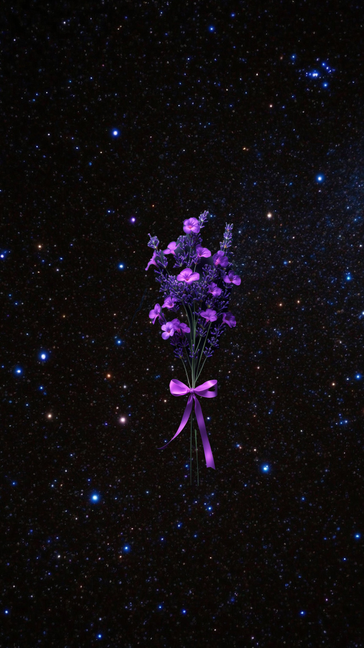 Dianthus, pink, lobelias, night, universe