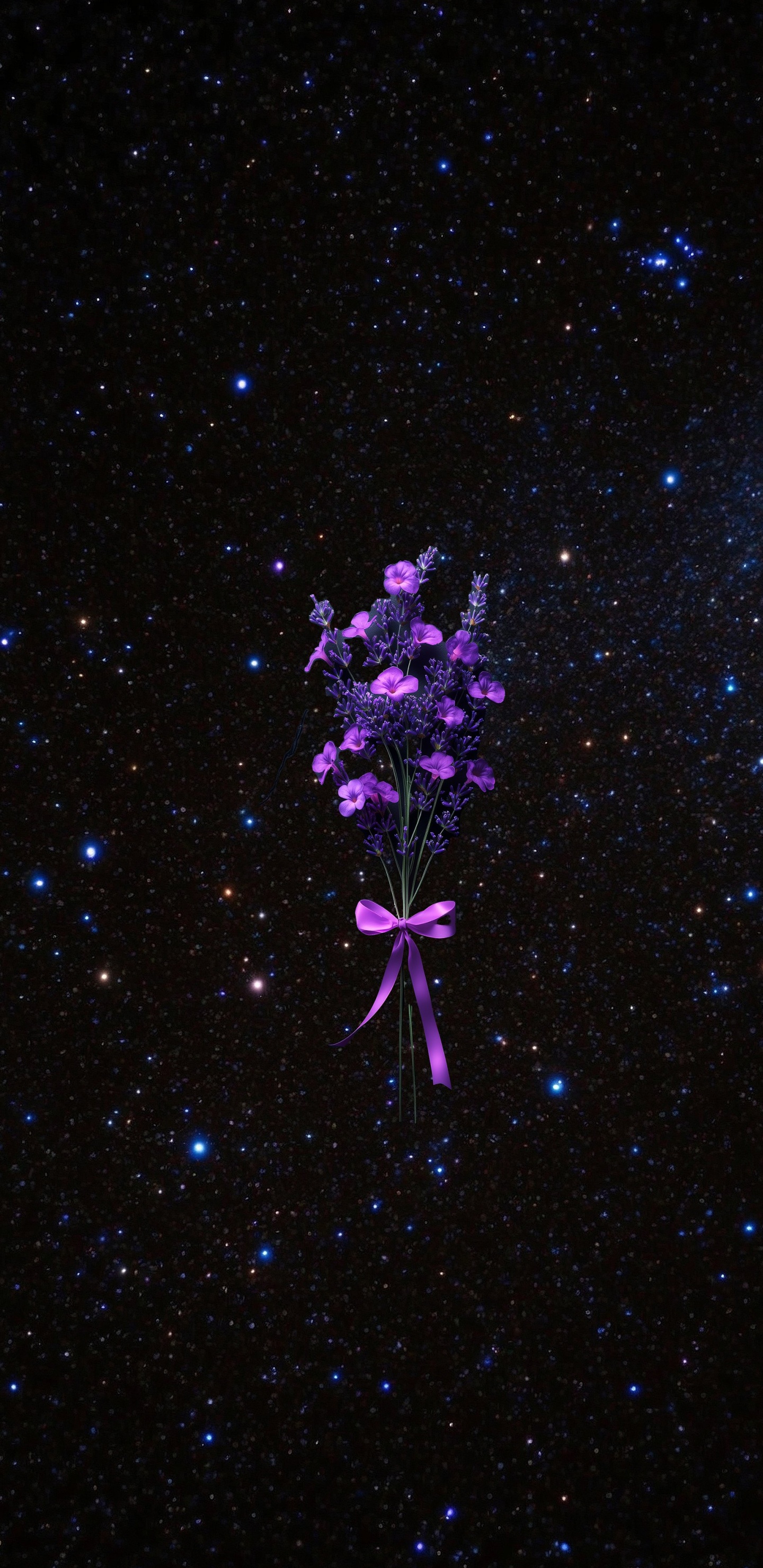 Dianthus, Pink, Lobelien, Nacht, Universum. Wallpaper in 1440x2960 Resolution