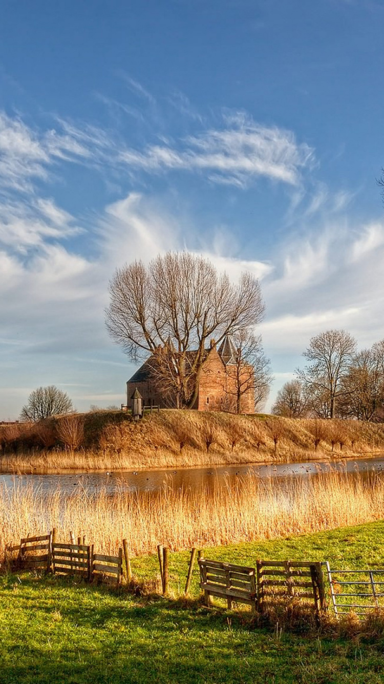 Arbres Sans Feuilles Sur Champ Brun Sous Ciel Bleu Pendant la Journée. Wallpaper in 750x1334 Resolution
