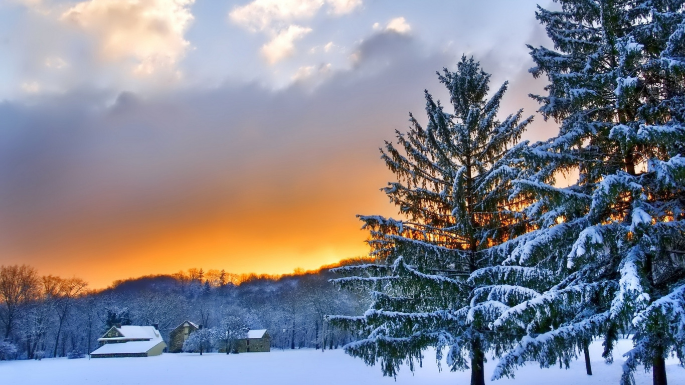 Snow Covered Trees During Sunset. Wallpaper in 1366x768 Resolution