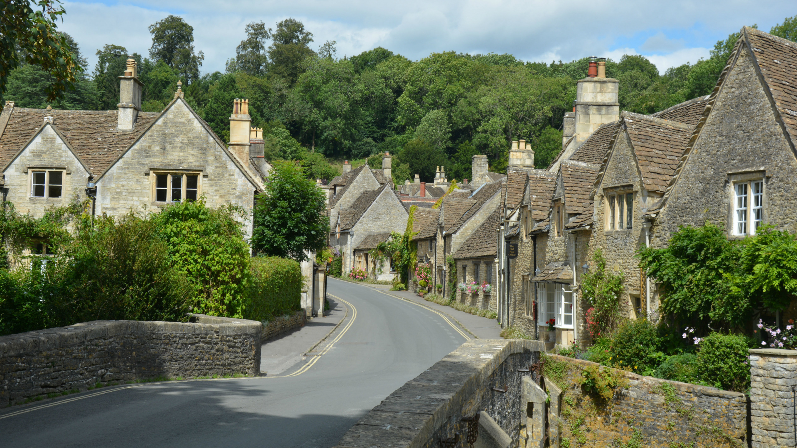 Graue Betonstraße Zwischen Grünen Bäumen Und Braunen Betonhäusern Tagsüber. Wallpaper in 2560x1440 Resolution