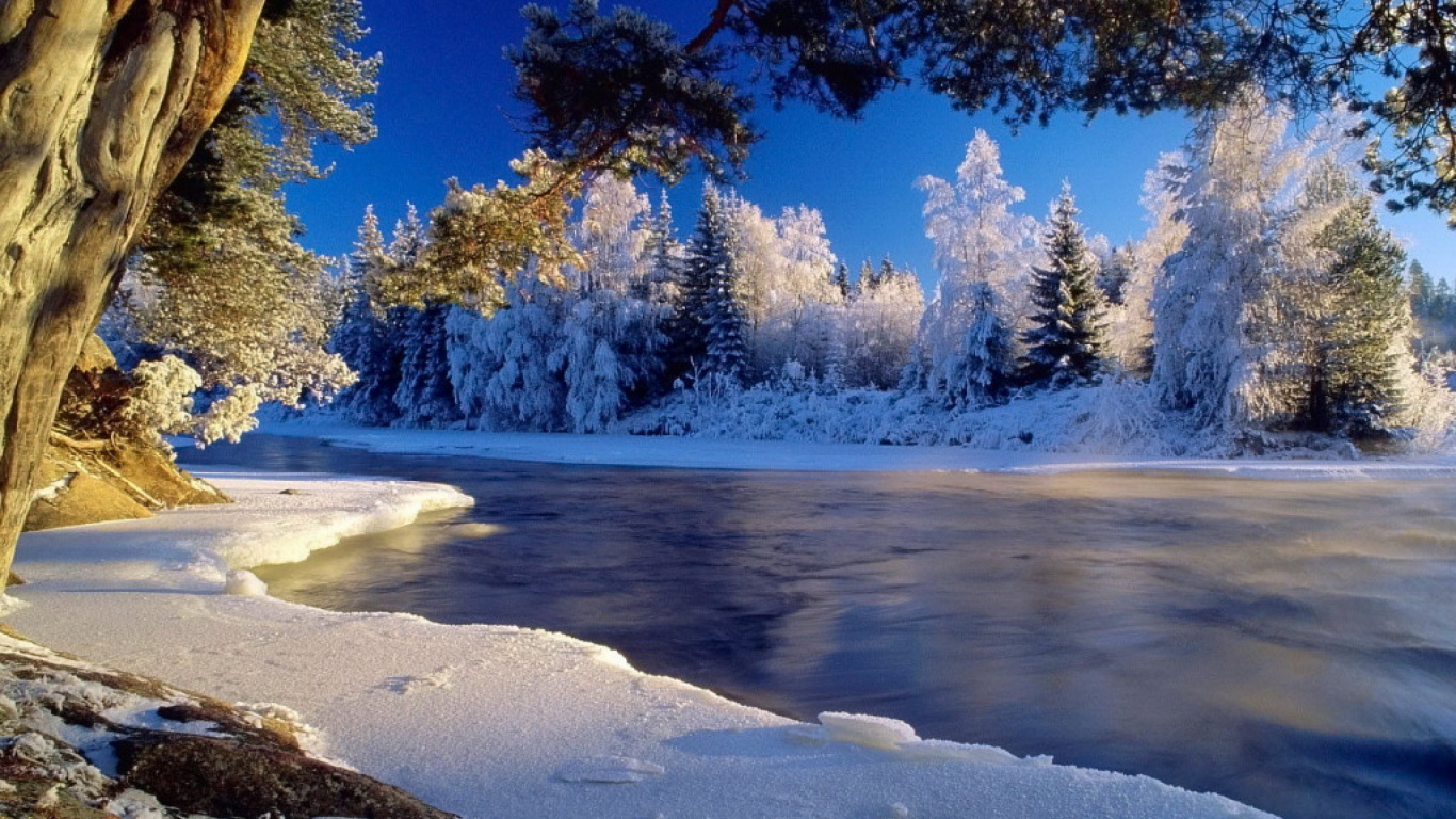 Schneebedeckte Bäume in Der Nähe Des Sees Tagsüber. Wallpaper in 1366x768 Resolution