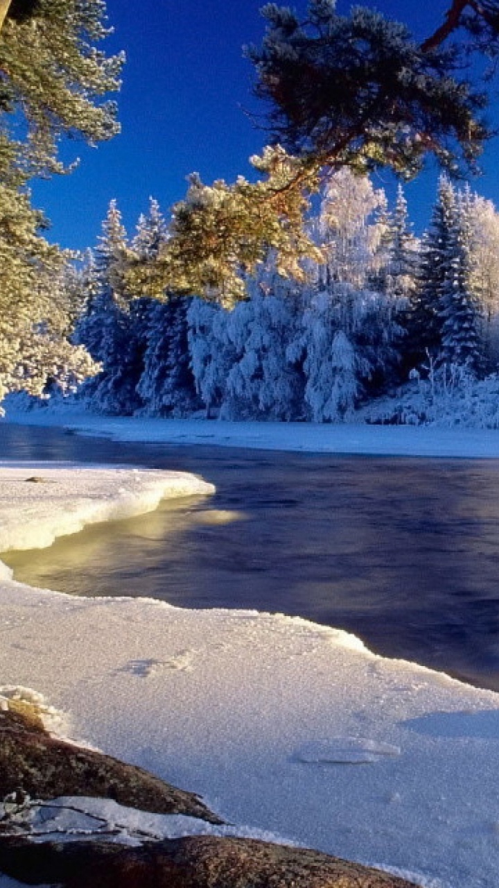 Schneebedeckte Bäume in Der Nähe Des Sees Tagsüber. Wallpaper in 720x1280 Resolution