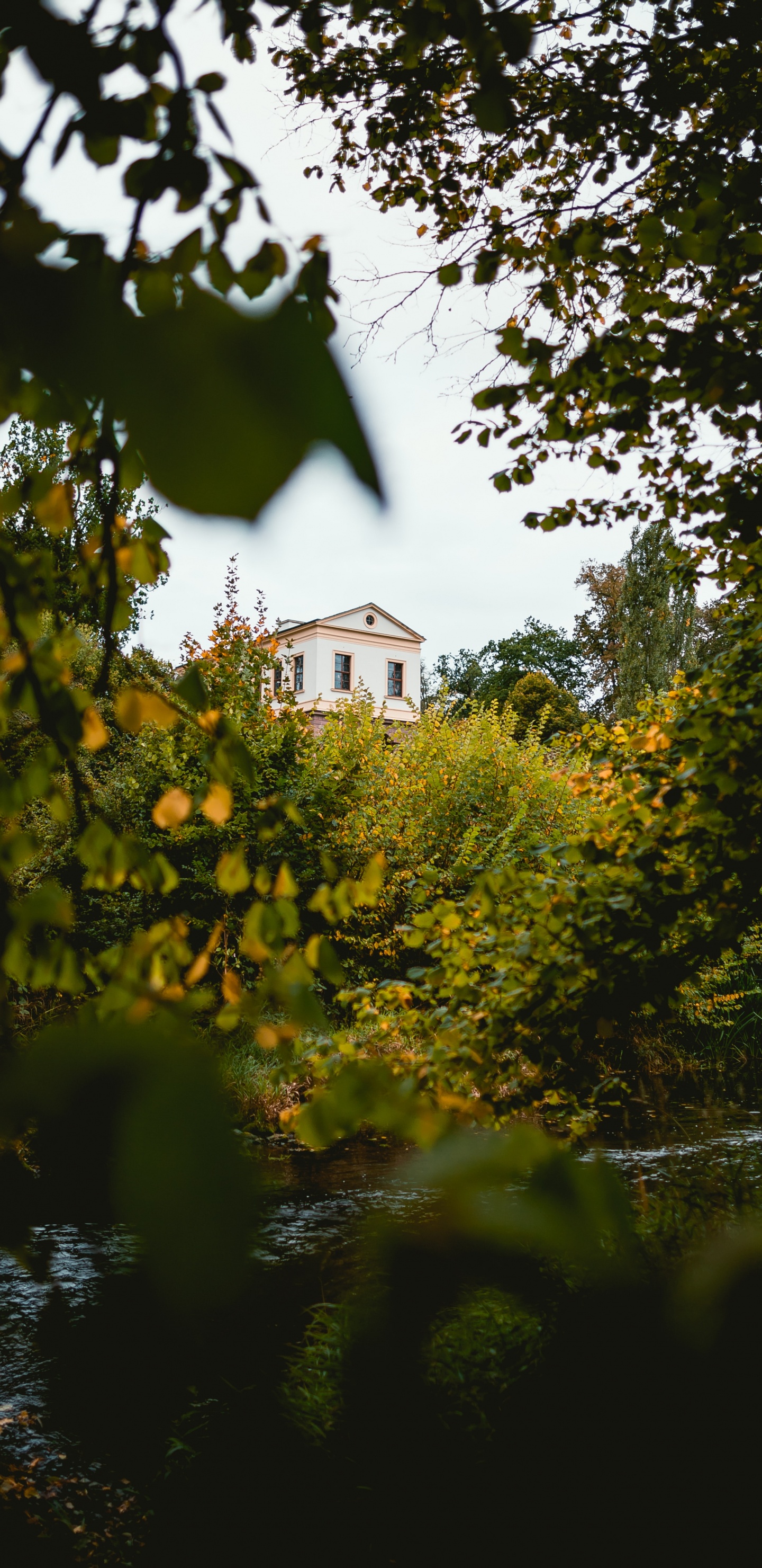 Naturaleza, Verde, Amarillo, Luz, la Luz Del Sol. Wallpaper in 1440x2960 Resolution