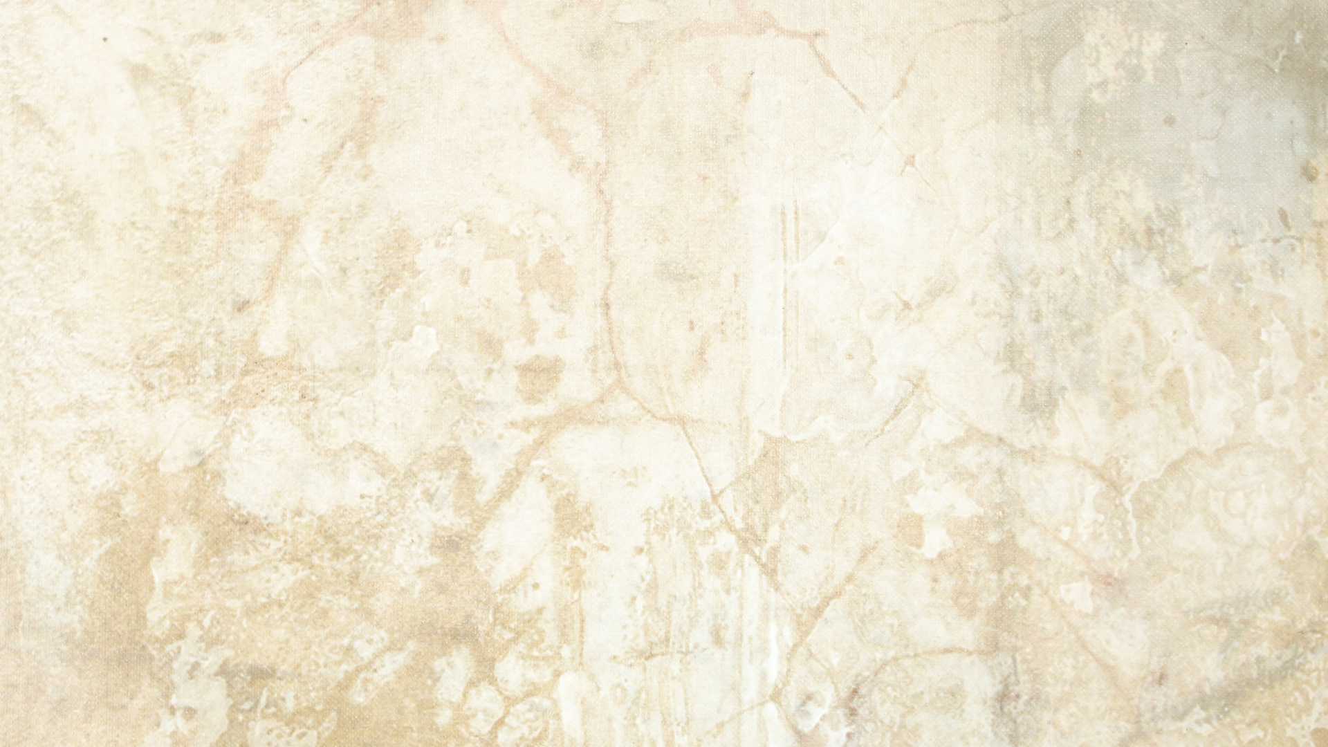 Textile Floral Blanc et Marron. Wallpaper in 1920x1080 Resolution