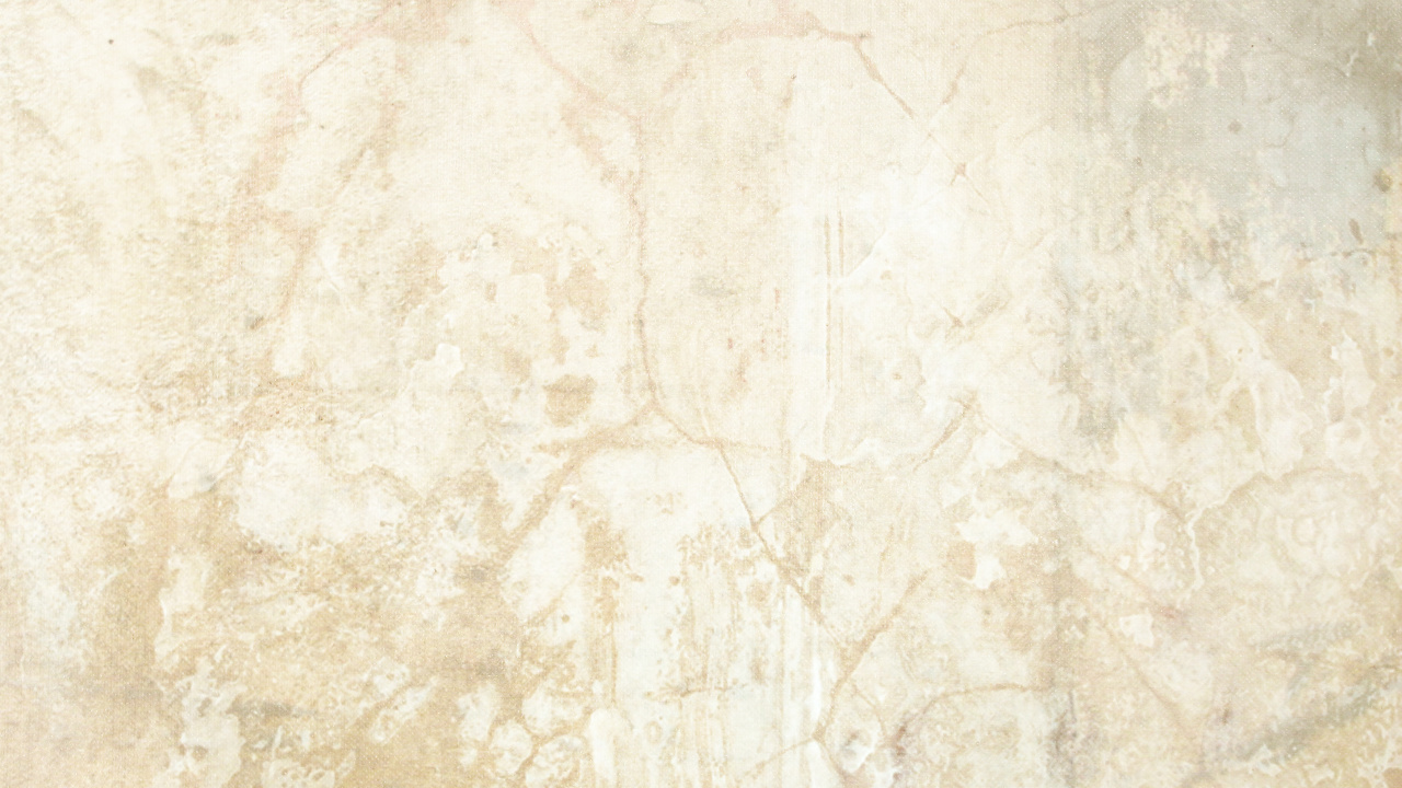 White and Brown Floral Textile. Wallpaper in 1280x720 Resolution