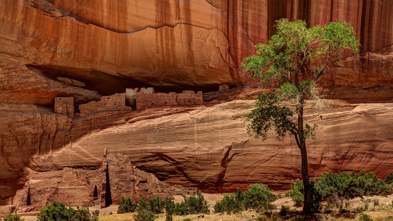Green Trees Beside Brown Rock Formation During Daytime. Wallpaper in 1366x768 Resolution