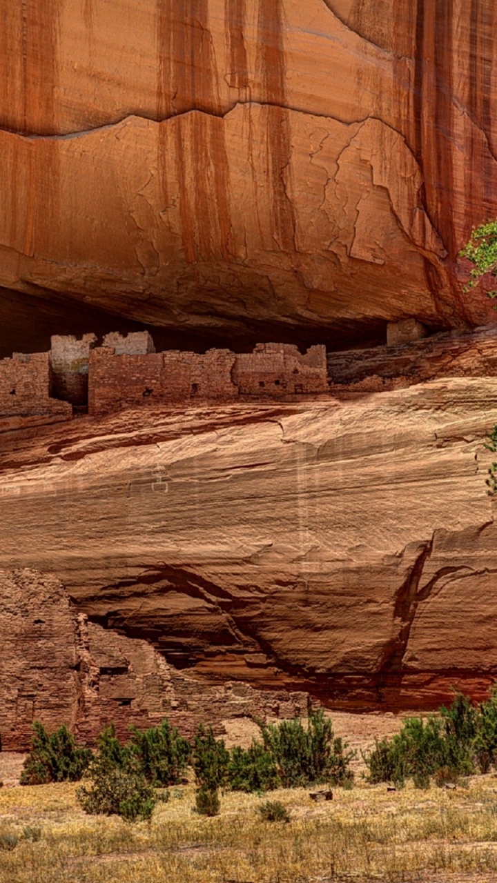 Green Trees Beside Brown Rock Formation During Daytime. Wallpaper in 720x1280 Resolution