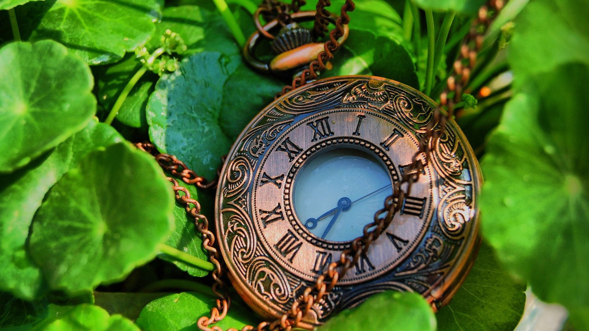 Brown and White Round Analog Watch. Wallpaper in 1920x1080 Resolution