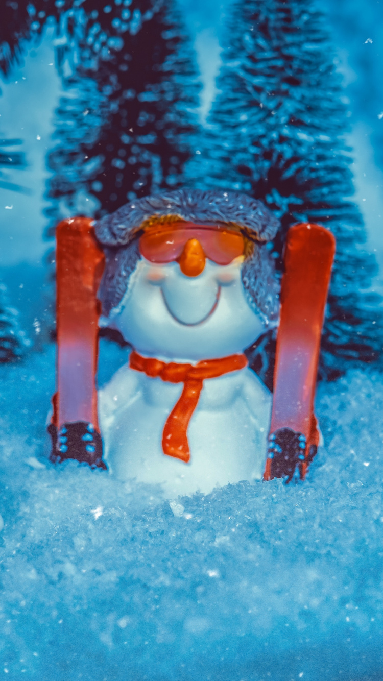 Congélation, Bonhomme, Hiver, Amusement, Neige. Wallpaper in 750x1334 Resolution