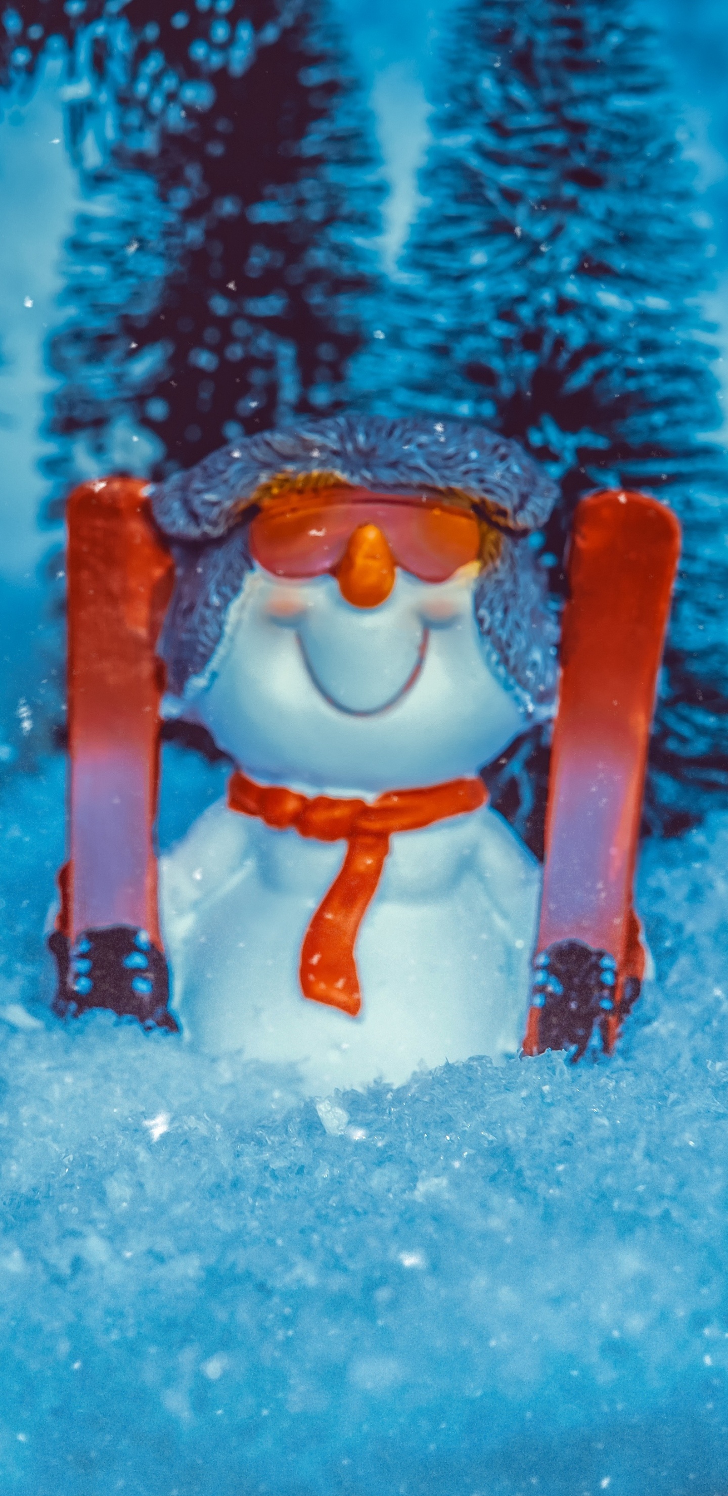 Einfrieren, Schneemann, Winter, Spaß, Erholung. Wallpaper in 1440x2960 Resolution