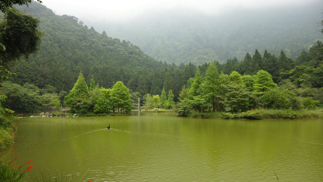 Green Trees Beside Lake During Daytime. Wallpaper in 1280x720 Resolution