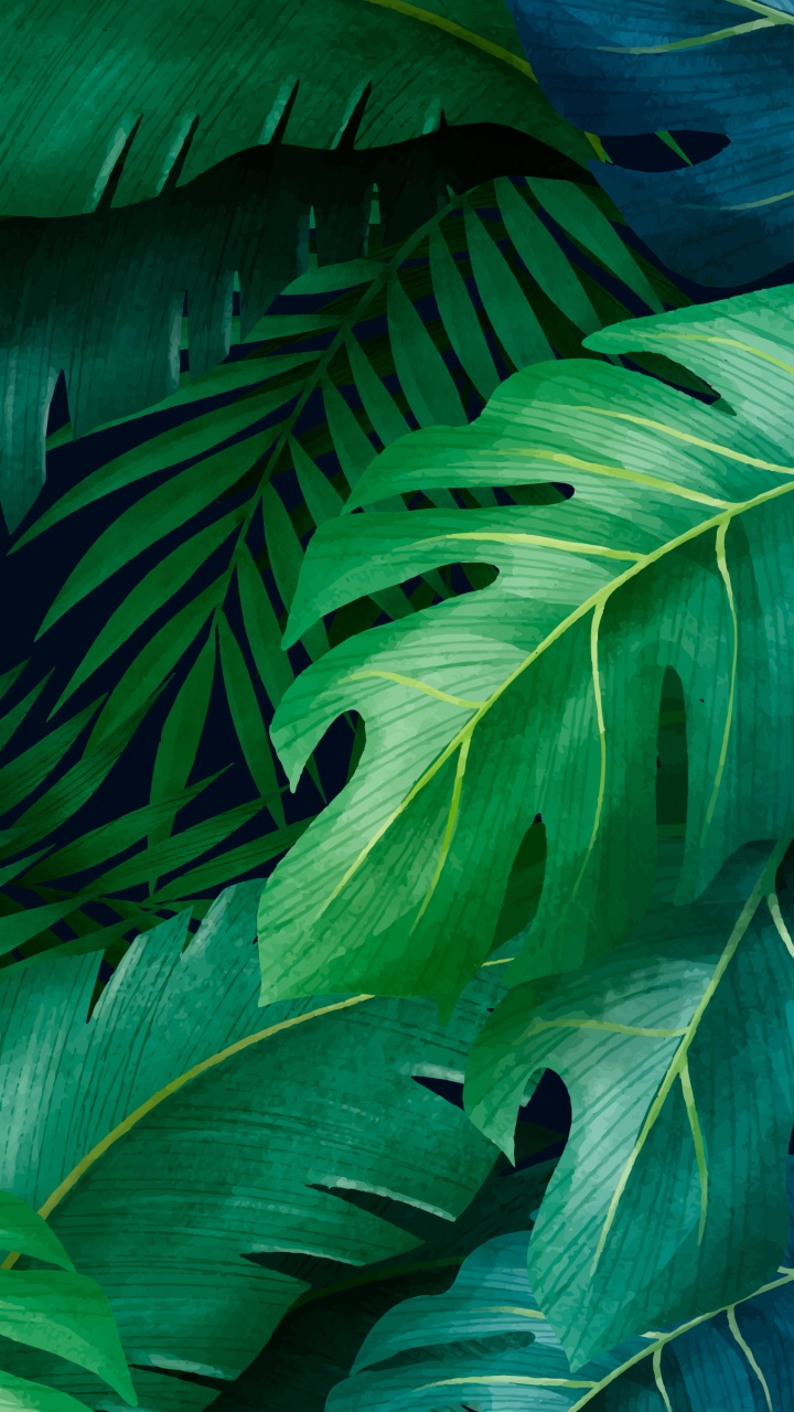 Chroma Key, Cadre Photo, Portrait, Green, Plante Terrestre. Wallpaper in 720x1280 Resolution