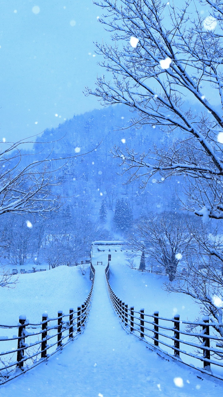 Hiver, Neige, Paysage Naturel, Pente, Rameau. Wallpaper in 720x1280 Resolution