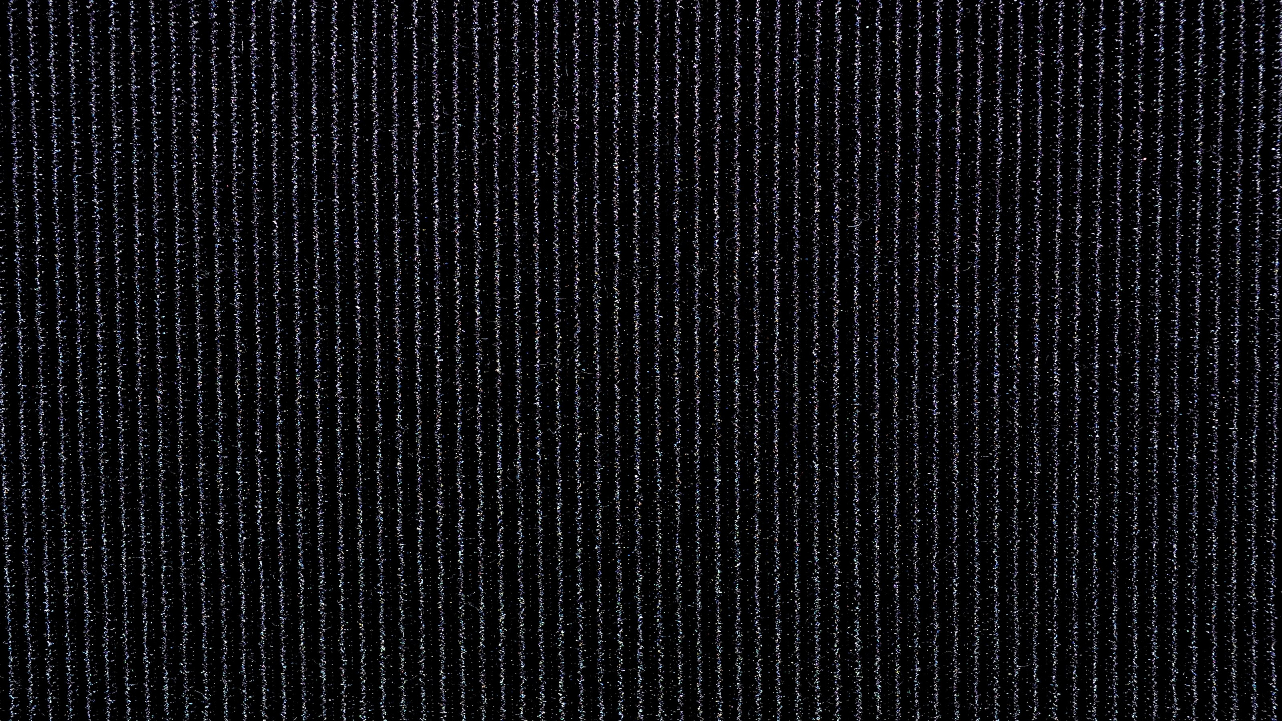 黑色的, 单色模式, 气氛, 天空, 黑色和白色的 壁纸 2560x1440 允许