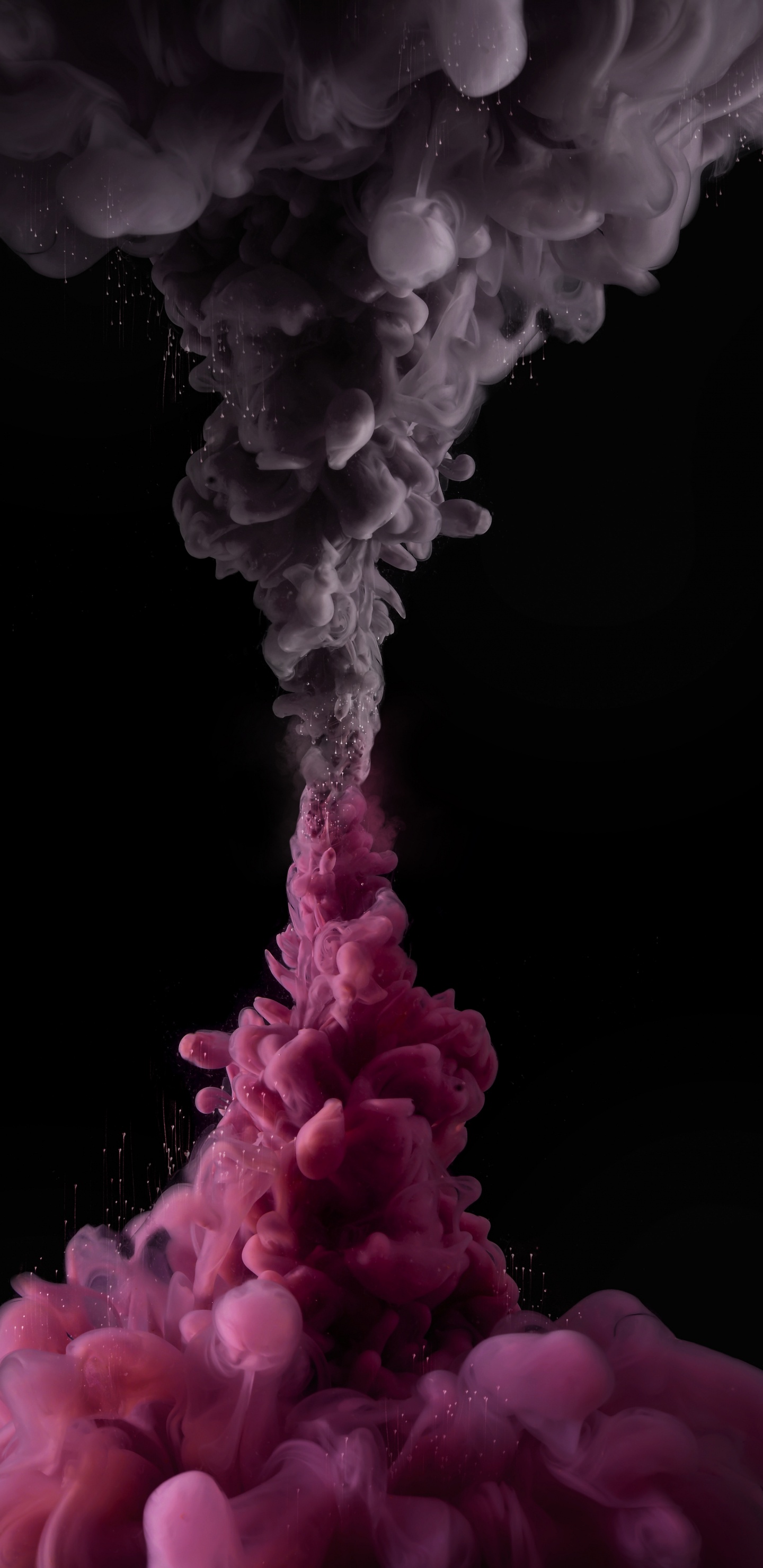 粉红色, 室内设计, 白色, 光, 品红色 壁纸 1440x2960 允许