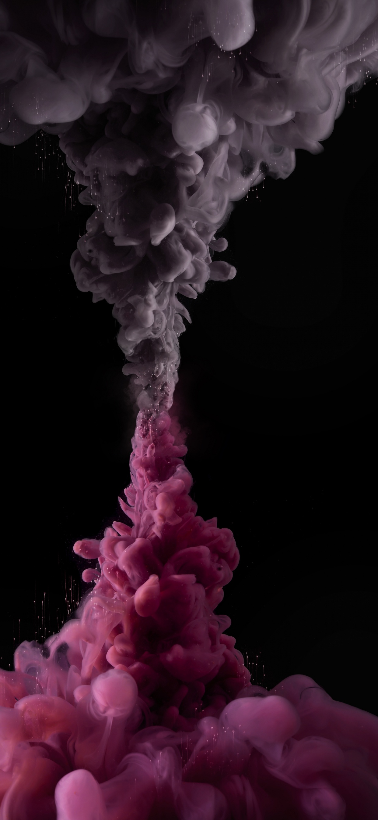 Pink, Innenarchitektur, Wei, Licht, Blütenblatt. Wallpaper in 1242x2688 Resolution