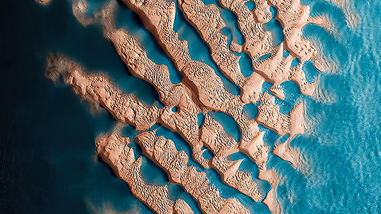 Museo Del Bicentenario, Biología Marina, Agua, Entorno Submarino, Azul. Wallpaper in 1280x720 Resolution