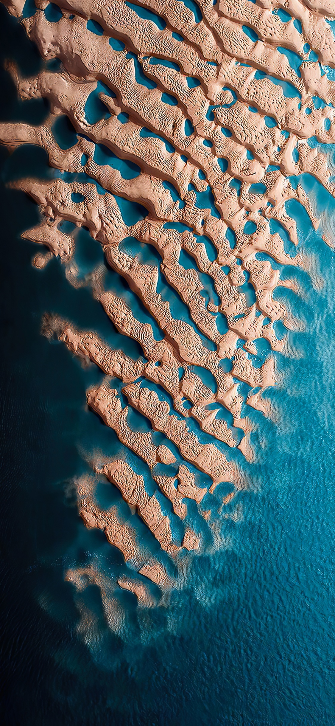 Museo Del Bicentenario, Marine Biology, Water, Underwater Environment, Blue. Wallpaper in 1125x2436 Resolution