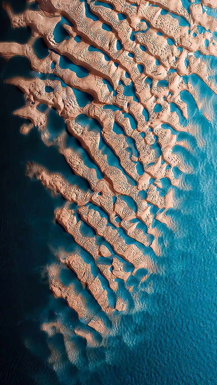 Museo Del Bicentenario, Marine Biology, Water, Underwater Environment, Blue. Wallpaper in 720x1280 Resolution