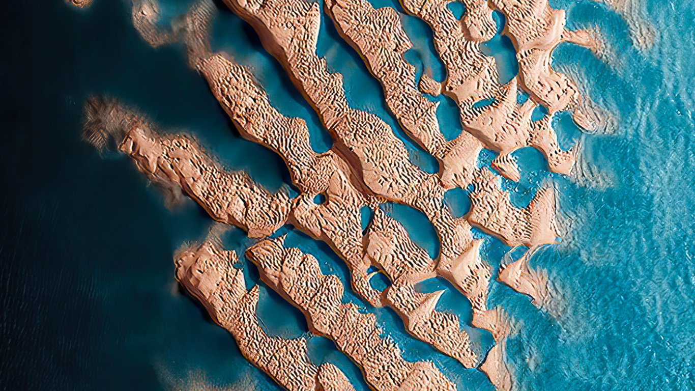 Zweihundertjähriges Museum, Marine Biologie, Wasser, Blau, Azure. Wallpaper in 1366x768 Resolution