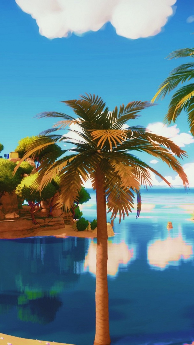 Green Palm Tree Near Body of Water During Daytime. Wallpaper in 750x1334 Resolution