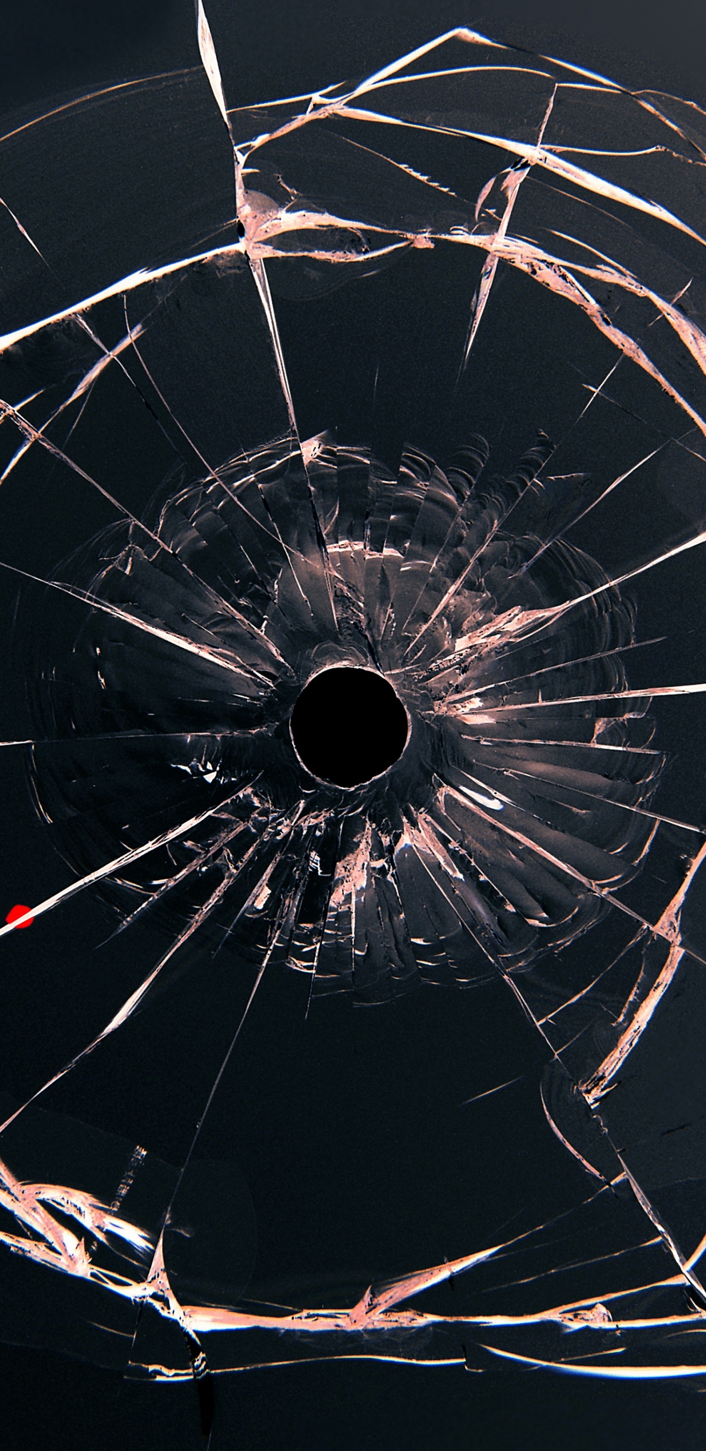 White and Red Flower Petals on The Floor. Wallpaper in 1440x2960 Resolution