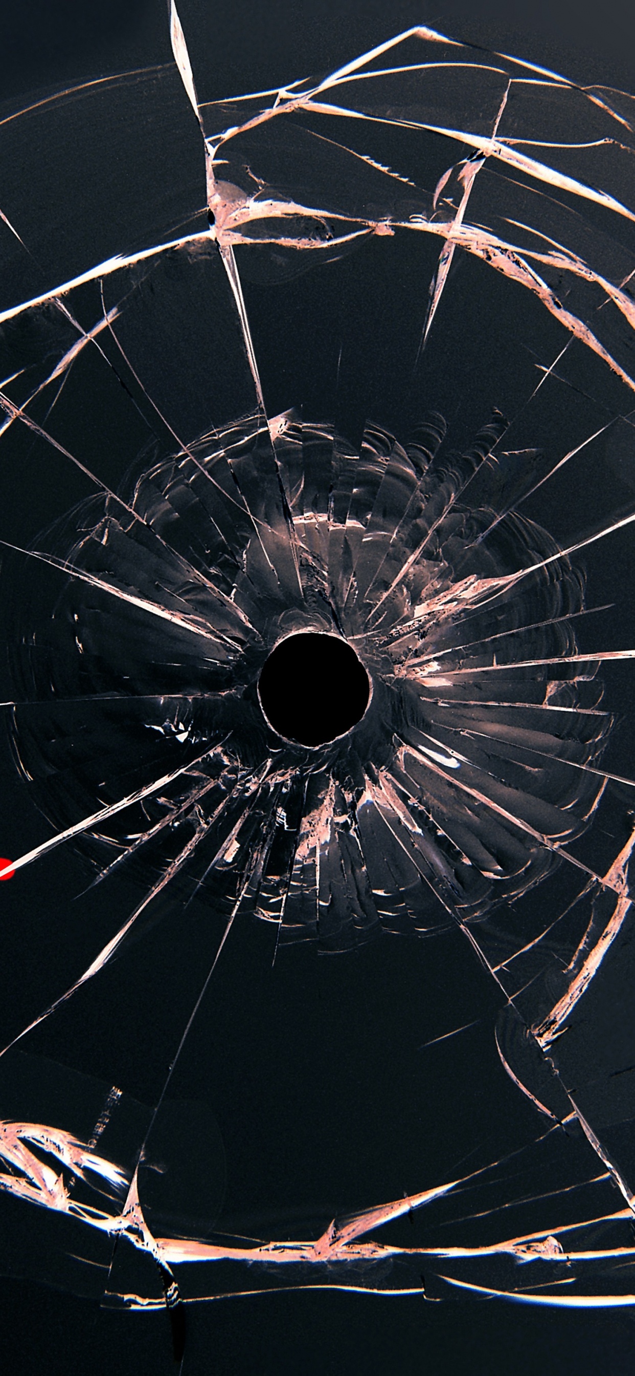 Pétales de Fleurs Blanches et Rouges Sur le Sol. Wallpaper in 1242x2688 Resolution