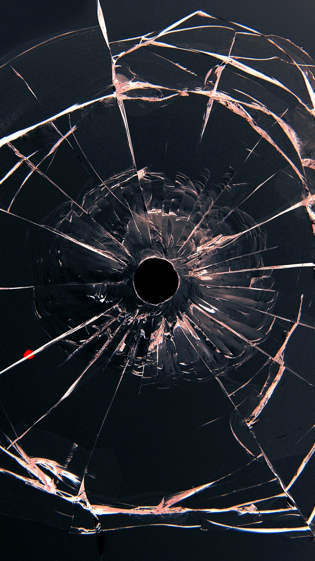 Weiße Und Rote Blütenblätter Auf Dem Boden. Wallpaper in 1080x1920 Resolution