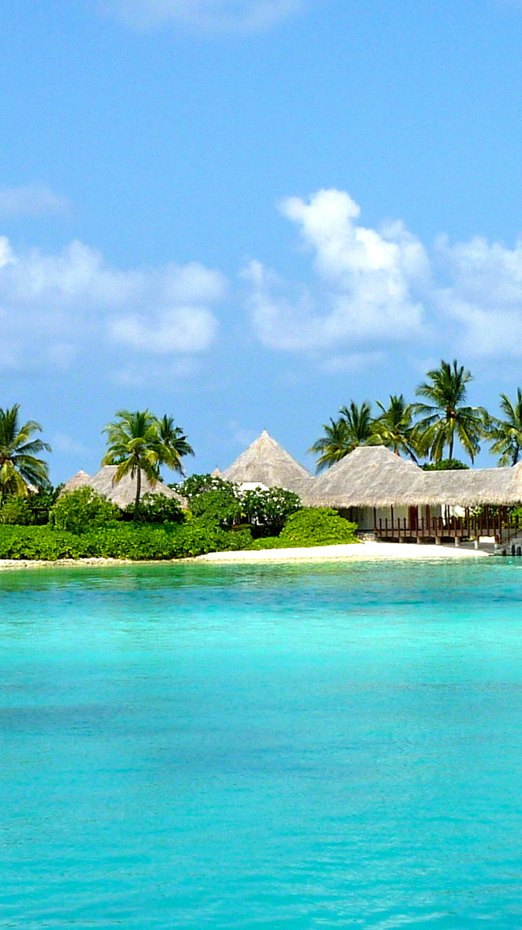 Brown Wooden House on Green Sea Under Blue Sky During Daytime. Wallpaper in 750x1334 Resolution